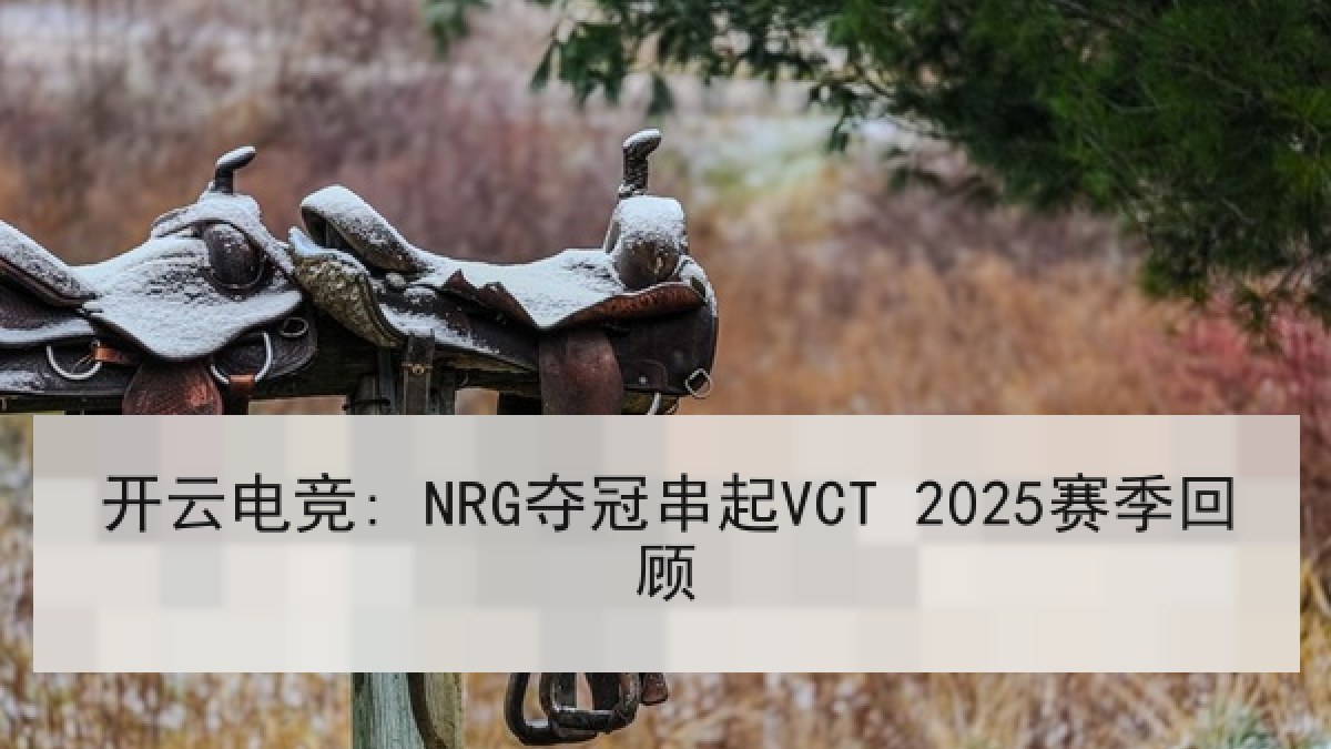 开云电竞: NRG夺冠串起VCT 2025赛季回顾 开云电竞: NRG夺冠串起VCT 2025赛季回顾