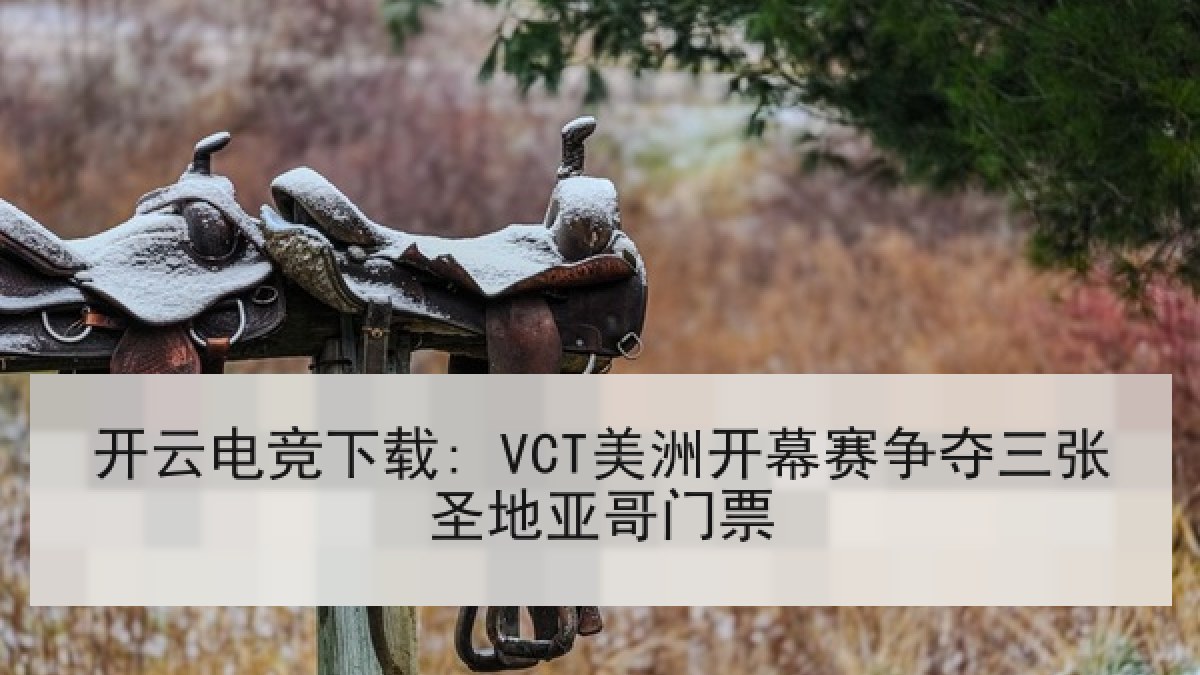 开云电竞下载: VCT美洲开幕赛争夺三张圣地亚哥门票 开云电竞下载: VCT美洲开幕赛争夺三张圣地亚哥门票