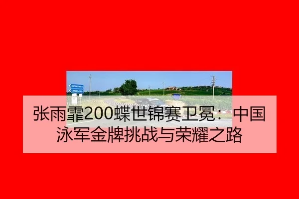 zhang-yu-fei-die-shi-jin-sai-wei-mian-zhong-guo-yong-jun-jin-pai-tiao-zhan-yu-rong-yao-zhi-lu-2-507.jpg