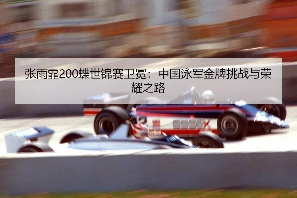 zhang-yu-fei-die-shi-jin-sai-wei-mian-zhong-guo-yong-jun-jin-pai-tiao-zhan-yu-rong-yao-zhi-lu-3-123.jpg