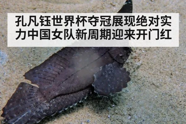 孔凡钰世界杯夺冠展现绝对实力中国女队新周期迎来开门红
